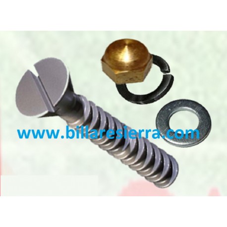 Tornillo cojinete completo